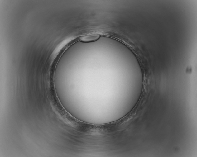 X0000110920200200907021507