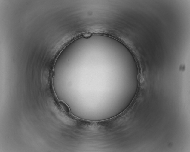 X0000110920201200907021507