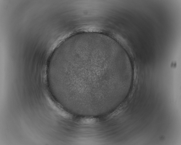 X0000110920202200907021507