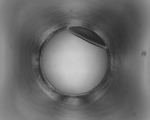 X0000110920203200907021507
