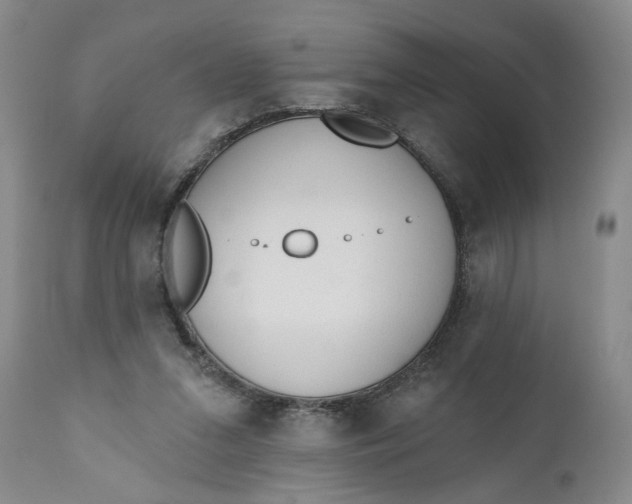 X0000110920207200907021507