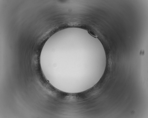 X0000110920211200907021507