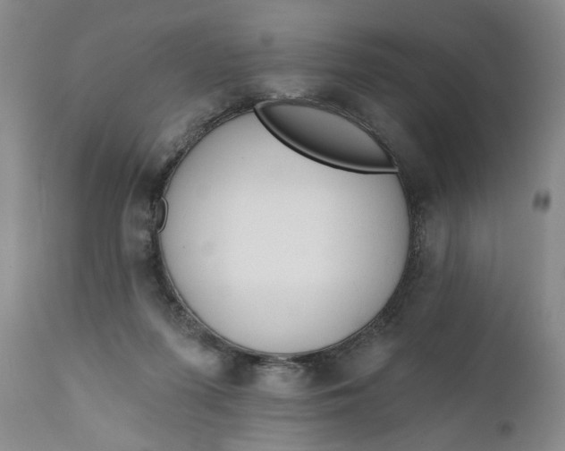 X0000110920215200907021507