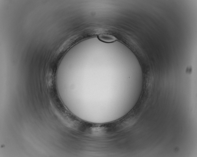 X0000110920216200907021507