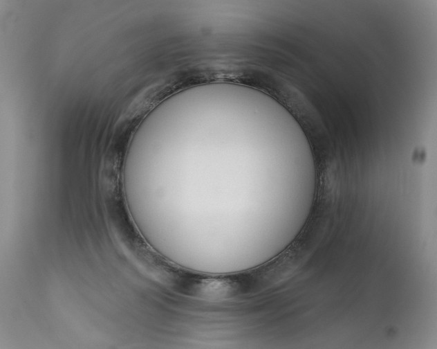 X0000110920218200907021507