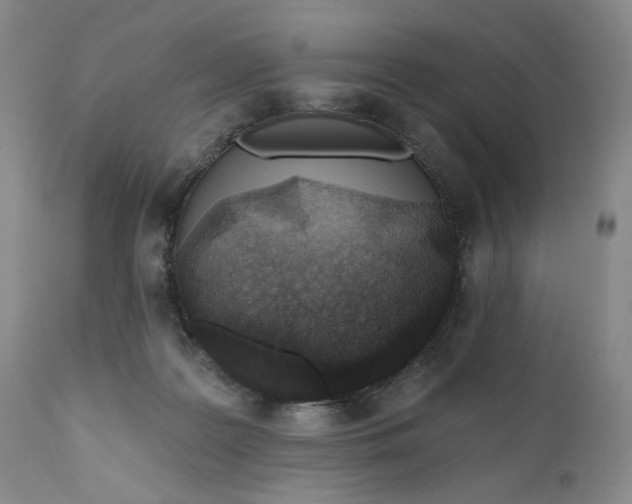 X0000110920219200907021507