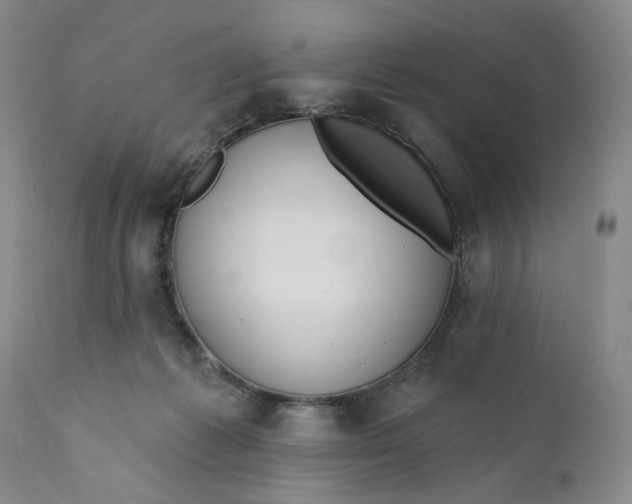 X0000110920221200907021507