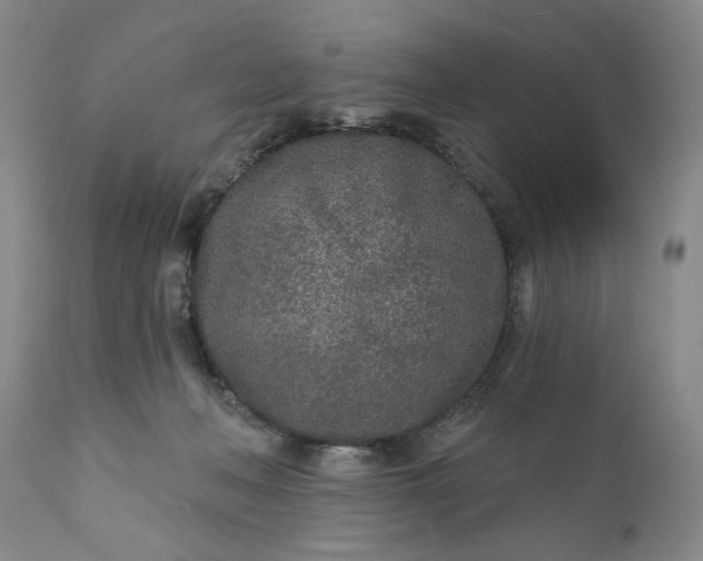 X0000110920222200907021507