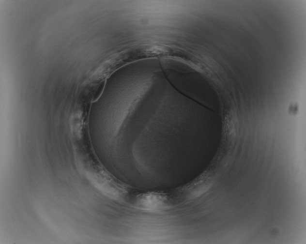 X0000110920223200907021507