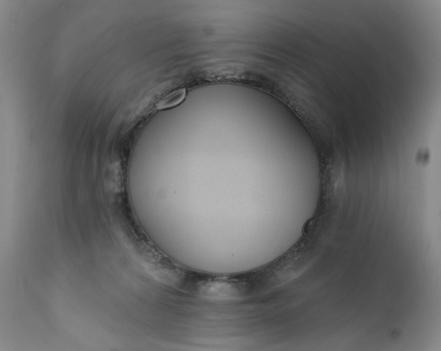 X0000110920224200907021507