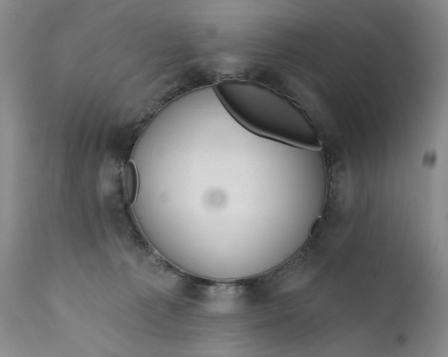 X0000110920225200907021507
