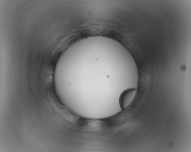 X0000110920226200907021507