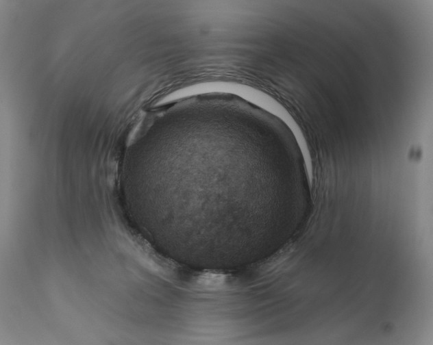 X0000110920227200907021507