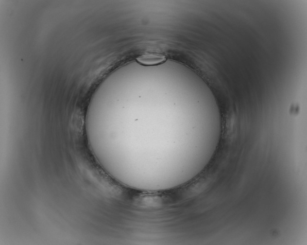 X0000110920228200907021507