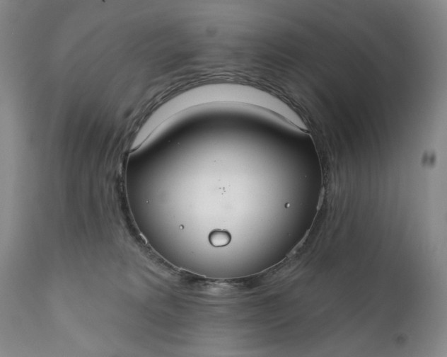 X0000110920229200907021507