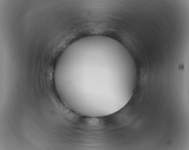 X0000110920230200907021507