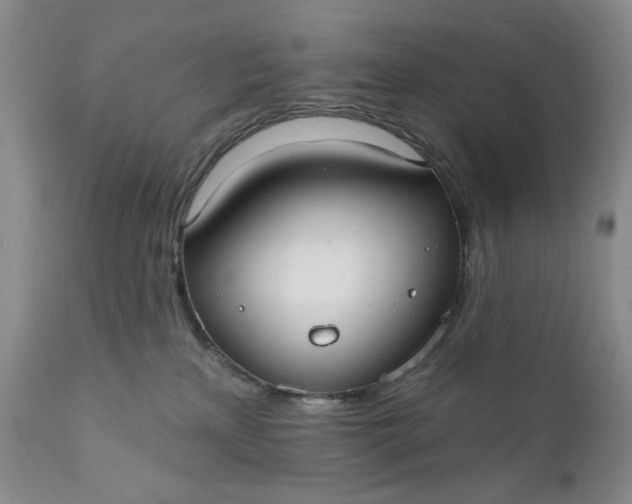 X0000110920233200907021507