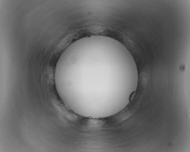 X0000110920234200907021507