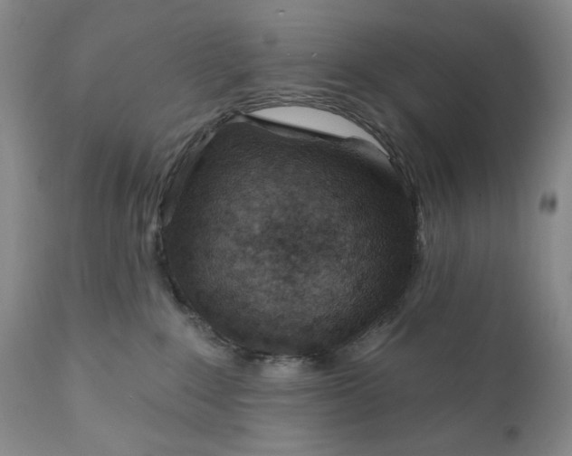 X0000110920235200907021507