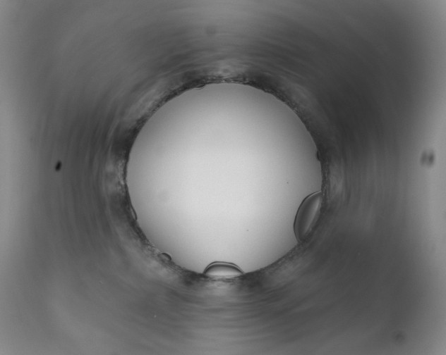 X0000110920236200907021507