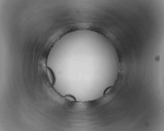 X0000110920238200907021507