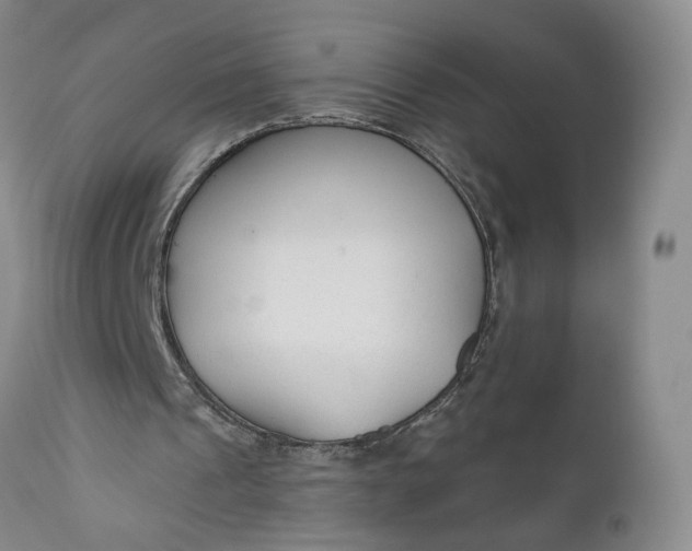 X0000110920241200907021506