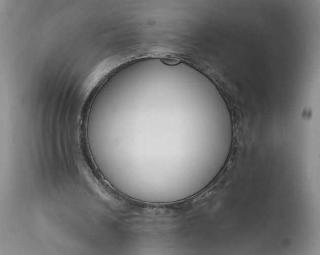 X0000110920242200907021506