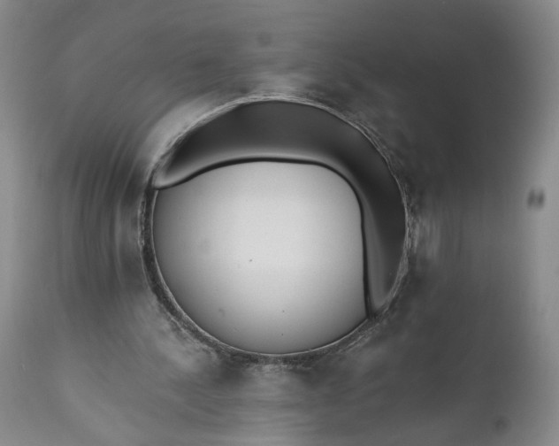 X0000110920244200907021506