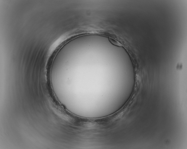 X0000110920246200907021506