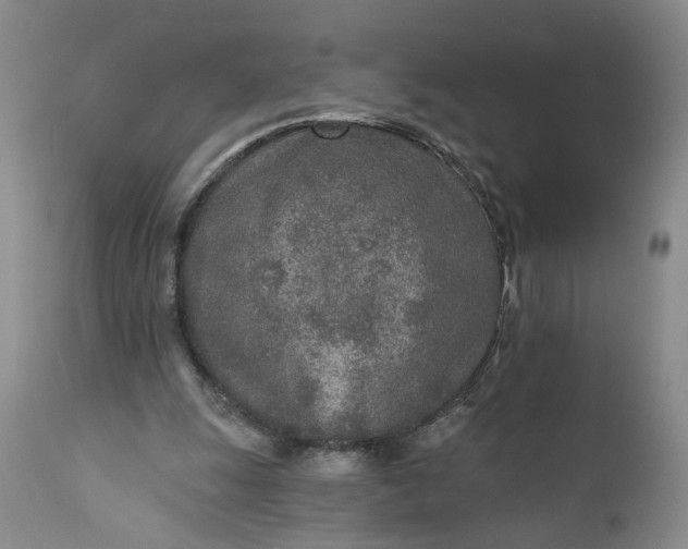 X0000110920247200907021506