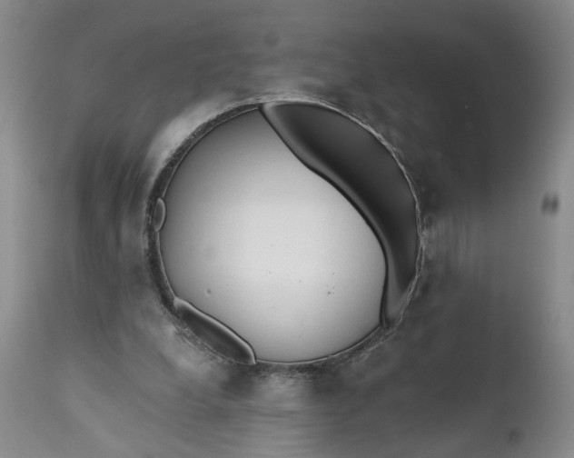 X0000110920248200907021506