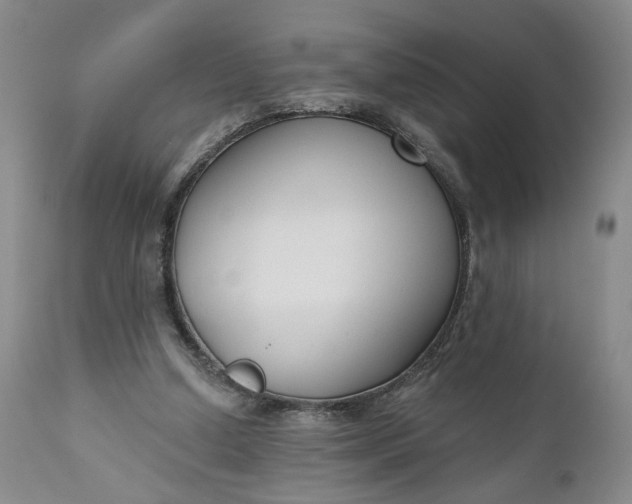 X0000110920250200907021506