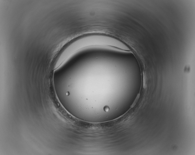 X0000110920252200907021506