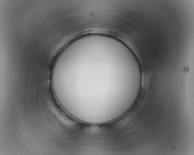 X0000110920253200907021506