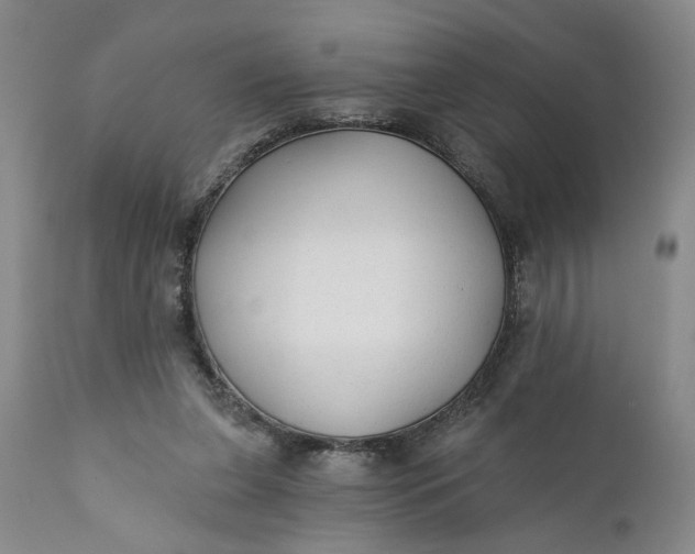 X0000110920255200907021506
