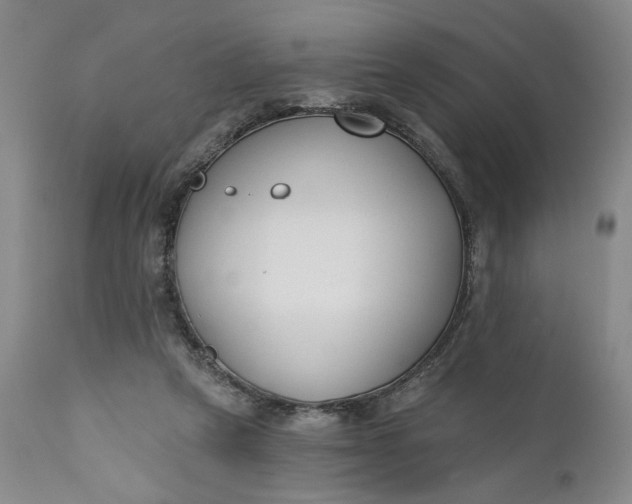 X0000110920257200907021506