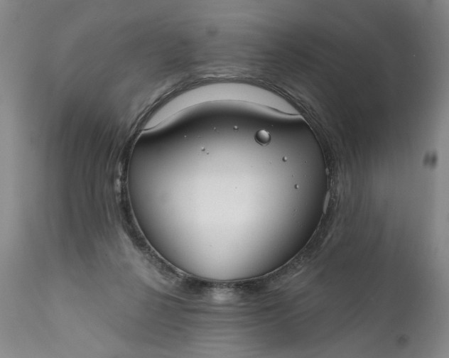 X0000110920264200907021506