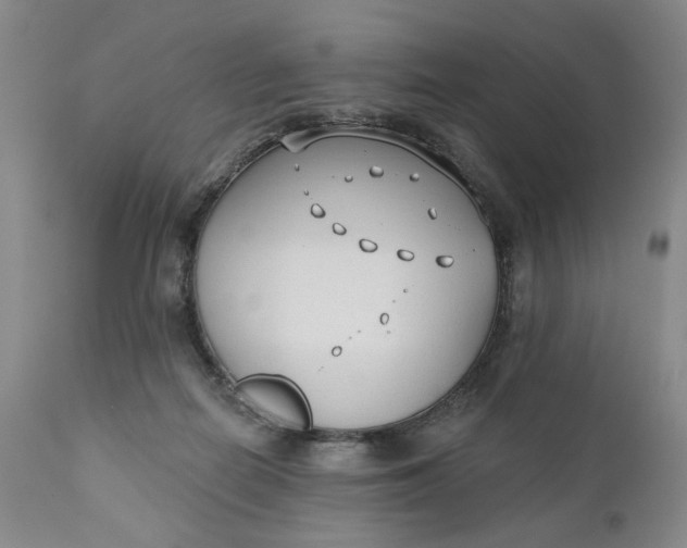 X0000110920266200907021506