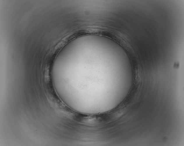 X0000110920267200907021506