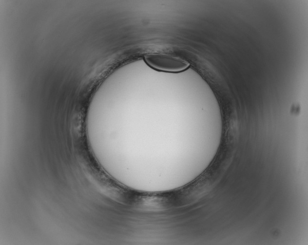 X0000110920268200907021506