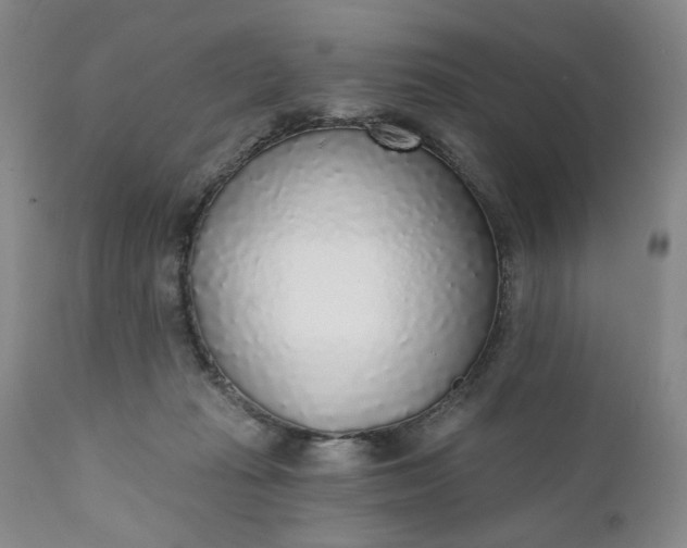 X0000110920269200907021506