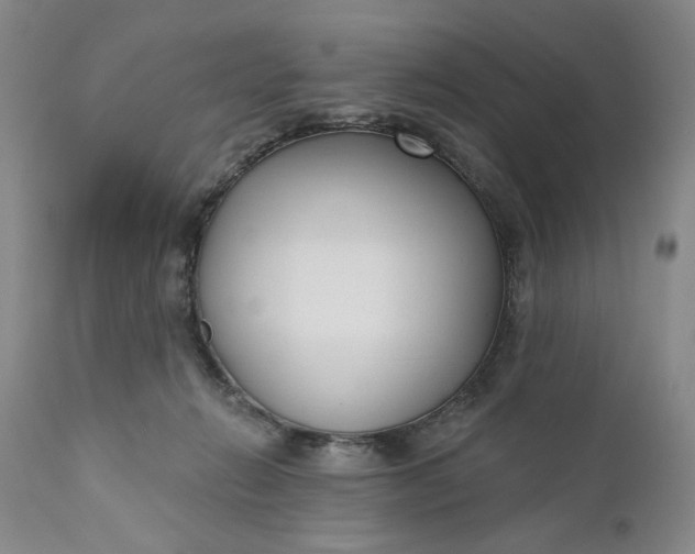 X0000110920270200907021506