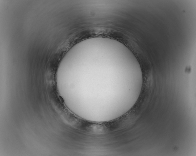 X0000110920272200907021506