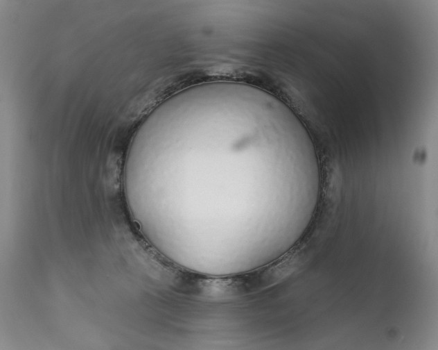 X0000110920273200907021506