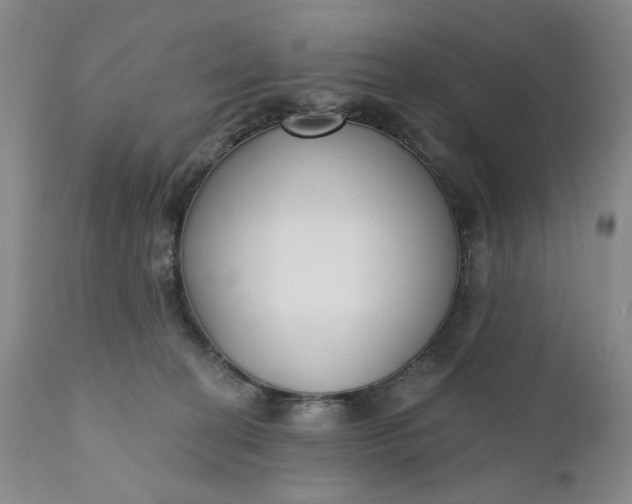 X0000110920274200907021506