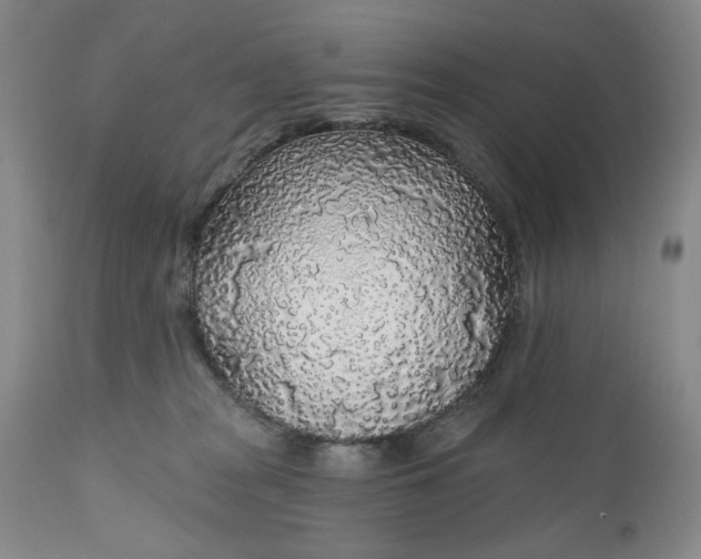 X0000110920277200907021506