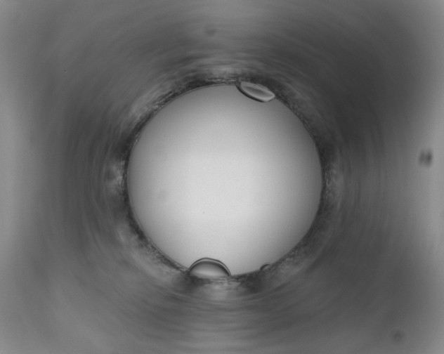 X0000110920278200907021506