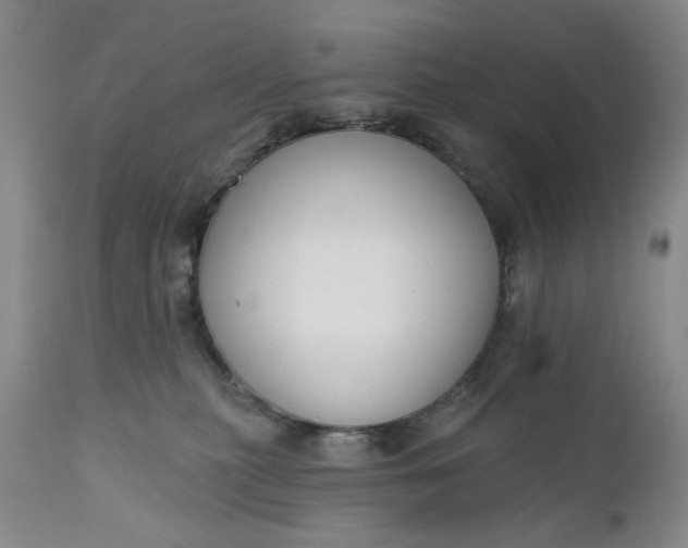 X0000110920279200907021506