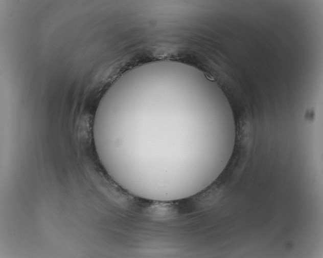 X0000110920280200907021506