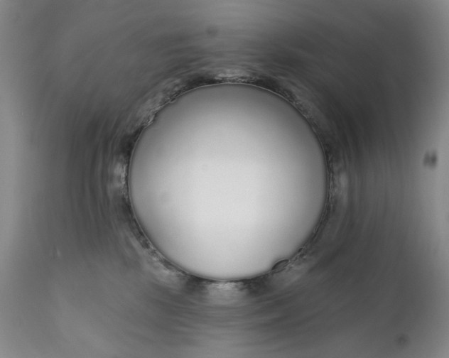 X0000110920281200907021506